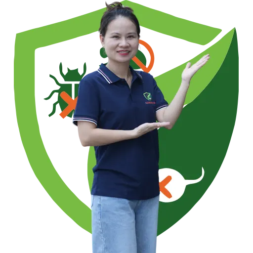 An tâm trải nghiệm dịch vụ chất lượng
