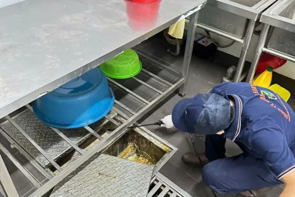 Diệt côn trùng chuyên nghiệp tại Hà Nội – Xử lý nhanh, hiệu quả bền vững