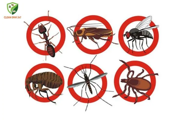 Top 7 câu hỏi được khách hàng quan tâm nhất khi sử dụng dịch vụ kiểm soát côn trùng Clean Envi