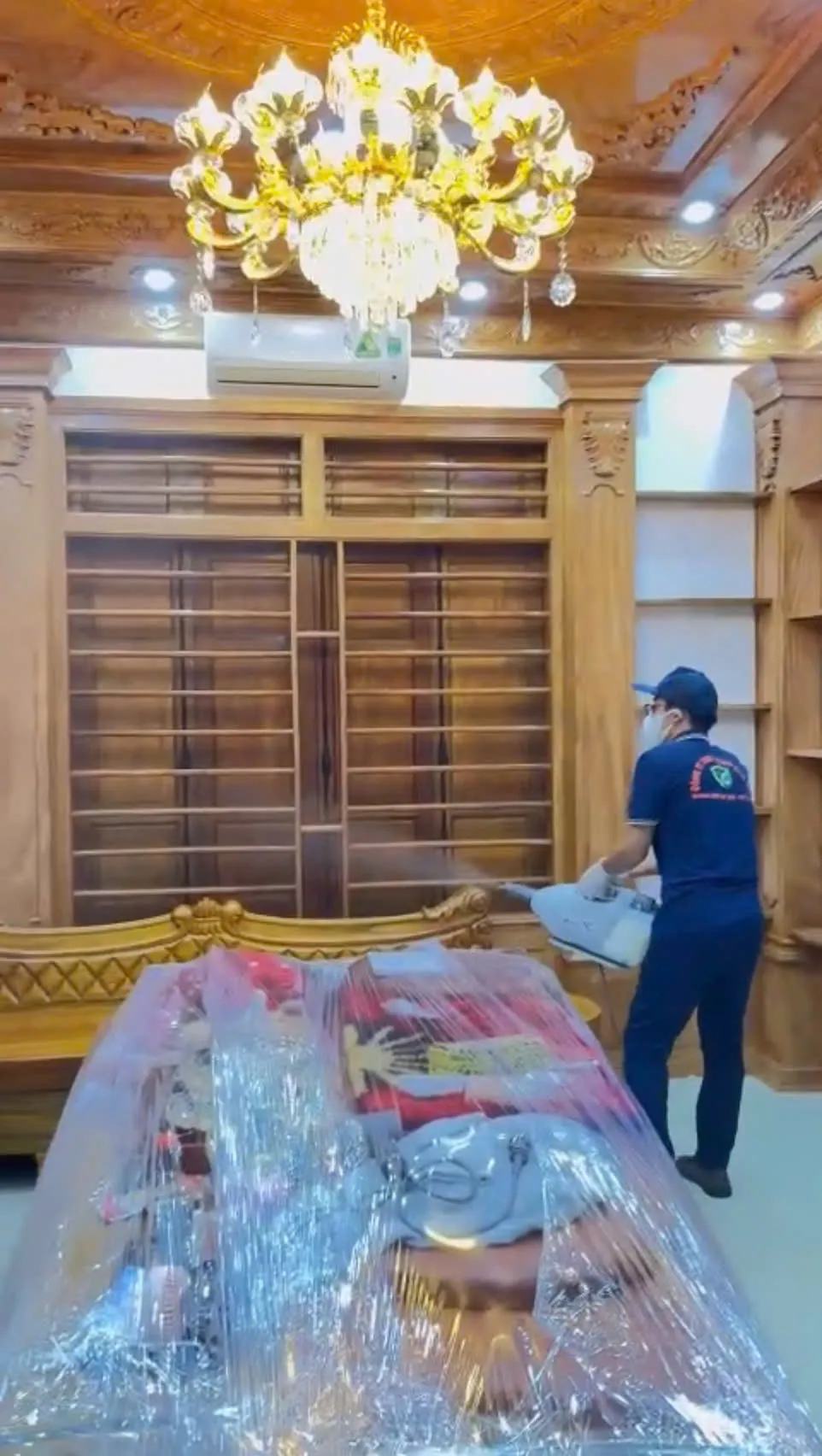 Dịch vụ kiểm soát mối tận gốc, uy tín, giá rẻ